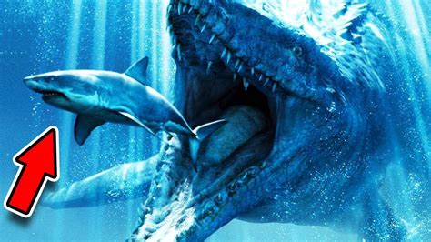 Top 5 NejzÁhadnĚjŠÍ TvorovÉ MoŘskÝch Hlubin In 2020 Megalodon Underwater Background Jurassic