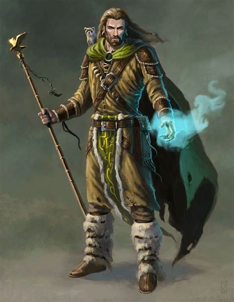Fantasy Art Men Human Druid Dungeons And Dragons Characters