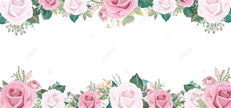 Fresh And Romantic Pink Rose Border Background Frame Flowers Retro