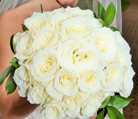 White Rose Bridal Bouquet White Rose Bridal Bouquet Rose Bridal