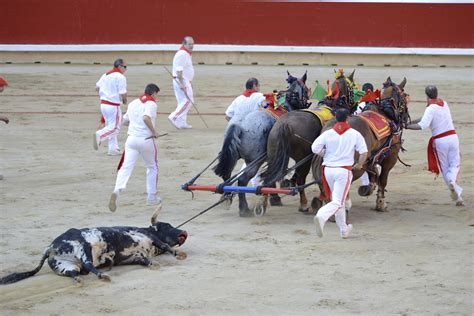 Dead Bull Bullfight 2 Pamplona Pictures Spain In Global Geography