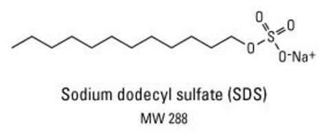 A structural formula is a type of chemical formula, differing from a simple formula. Sodium Dodecyl Sulfate (SDS), Lauryl