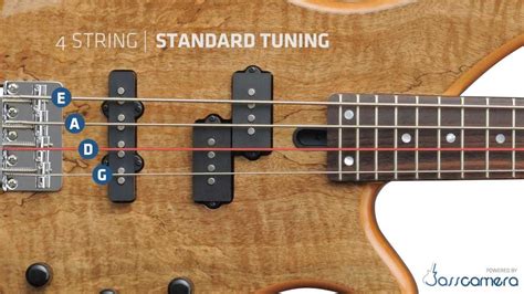 Bass Tuning 4 Strings Standard Eadg Hd Youtube