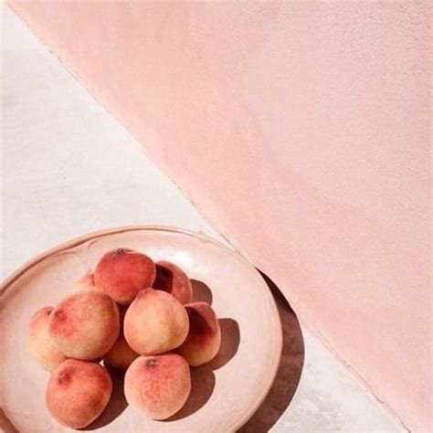 Art Photography Collection 53 Peach Aesthetic Peach Fruit Photography