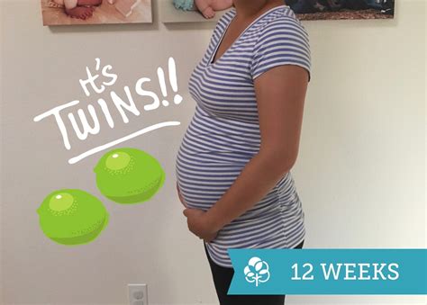 12 Week Pregnant Belly Twins Pregnantbelly