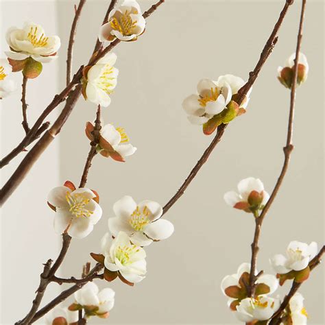 Artificial White Cherry Blossom Flower Branch Reviews Crate And Barrel
