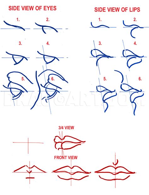 How To Draw Face Features Goalrevolution0
