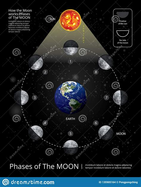 Movements Of The Moon Phases Realistic Stock Vector Illustration Of
