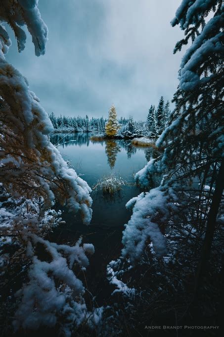 Check spelling or type a new query. Fall vs Winter by AndreLJBrandt - ViewBug.com