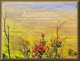 Daily Inspirational Bible Verse Psalm Kjv Flickr