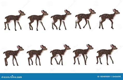 Spotted Deer S Walking Cycle For Animation Steps Of Deer Cub Stock