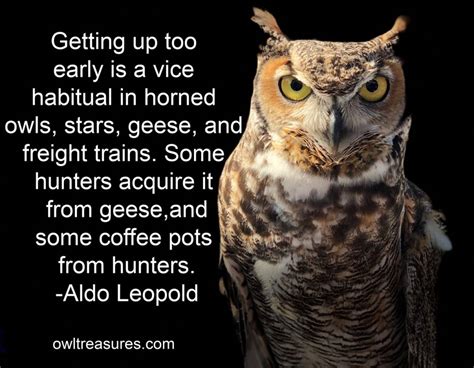 Owl Quotes And Sayings Owl Treasures