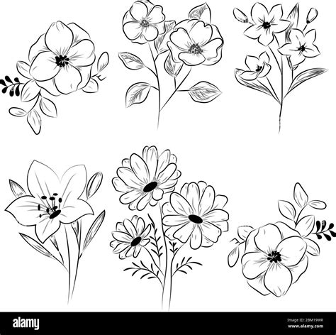 Detailed Drawings Of Flowers