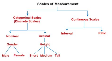 Nominal Ordinal Scale Spss Laineyaresfernandez