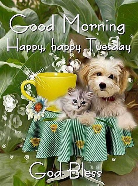 Kitty Puppy Good Morning Happy Happy Tuesday Pictures Photos And