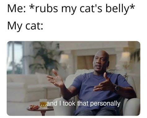 And I Took That Personally Meme Me Rubs My Cats Belly My Cat Comics