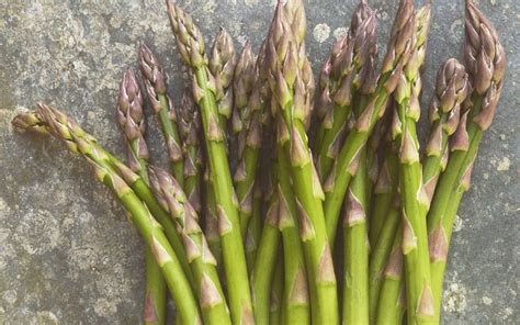 When cynthia called me, her life had fallen apart. Why you should grow asparagus...