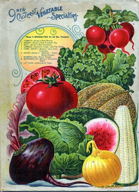 El mayor centro de compra y venta en internet. Frutas e Verduras! | letreros | Pinterest | Verduras ...