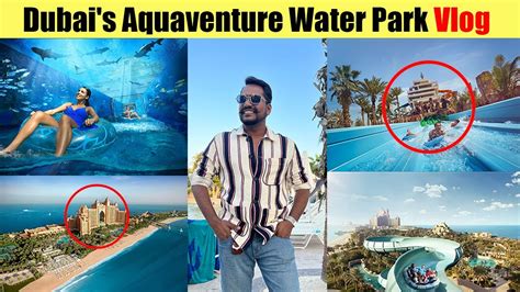 Diving Into Dubais Aquaventure Water Park Gautamdasvlogs Youtube