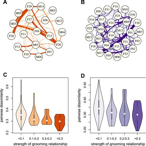 Social Networks Predict Gut Microbiome Composition In Wild Baboons Elife