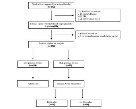 1 Patient Flow Chart Download Scientific Diagram