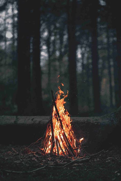 Fogata En El Bosque Fuego Fondo De Pantalla De Teléfono Hd Smartresize