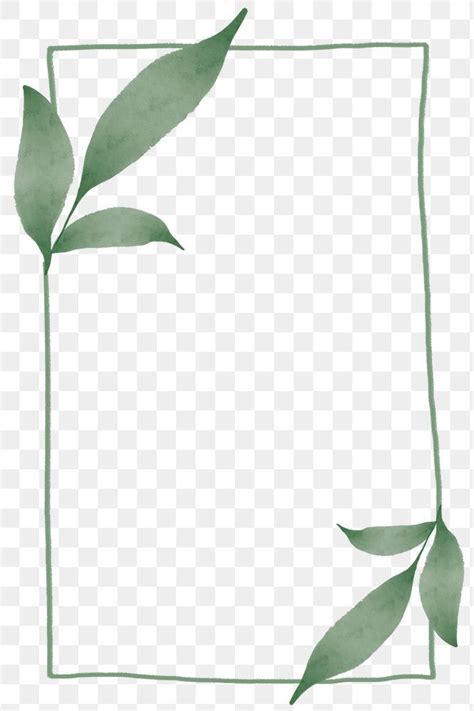 Png Rectangle Frame With Leaf Design Free Image By