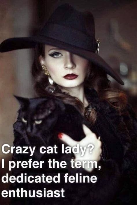 Pin By Shokolani On Cat Quotes Crazy Cat People Crazy Cats Crazy