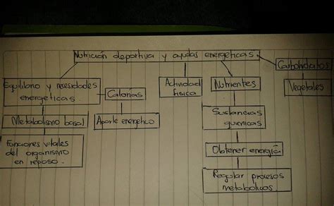 Mapa Conceptual De Educacion Fisica Sexiz Pix