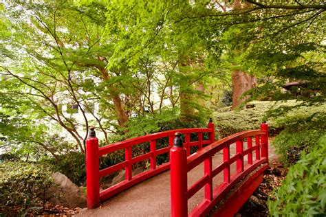 The Best Tokyo Parks And Japanese Gardens For Autumn Spring And Beyond