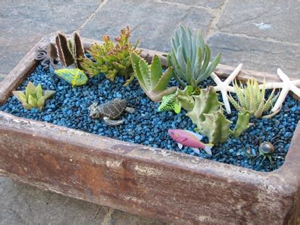 101 golf course drive, berkeley, ca 94708. Underwater Succulents - Cactus Jungle