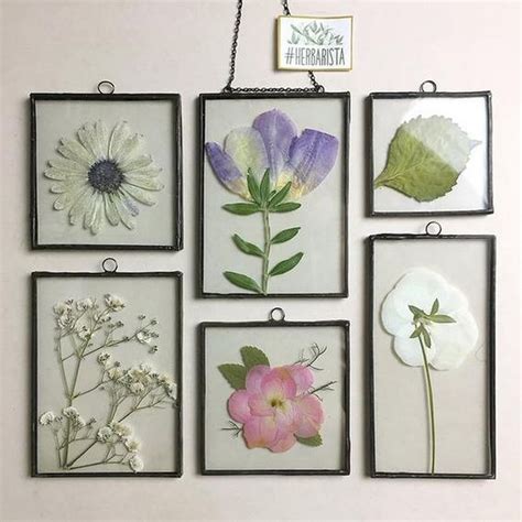 How To Make Pressed Flower Frames Craft Projects For Every Fan