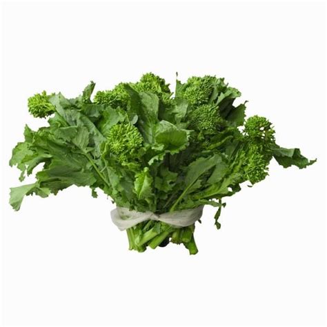 How To Grow And Harvest Broccoli Rabe Rapini Broccolini Broccoli Raab