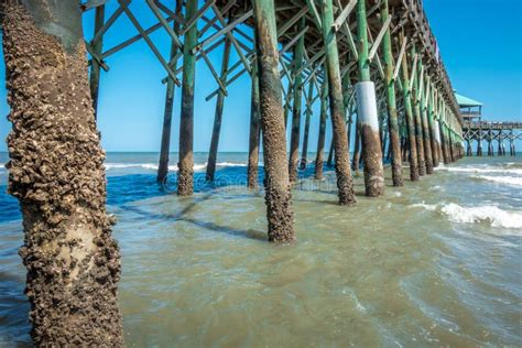 Folly Beach Pier In Charleston South Carolina Stock Photo Image Of