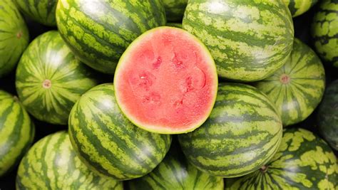 wassermelone wissenswertes rund um den süßen durstlöscher edeka