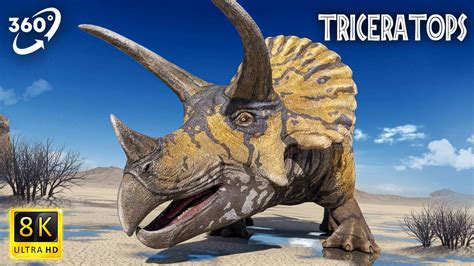 Triceratops Facts Vr 360 Jurassic Encyclopedia 20 Vipera Games