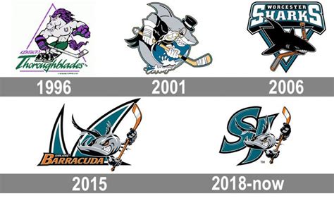 San Jose Barracuda Logo And Symbol Meaning History Png Brand