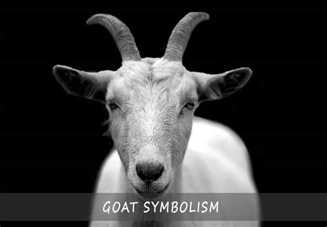 Goat Symbolism | An Easy Guide To Symbolism and Meaning of the Goat