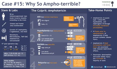 Case 15 Why So Ampho Terrible — The Skeleton Key Group