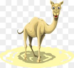 What cigarette do doctors says causes less throat irritation? Camel Logo PNG & Camel Logo Transparent Clipart Free ...