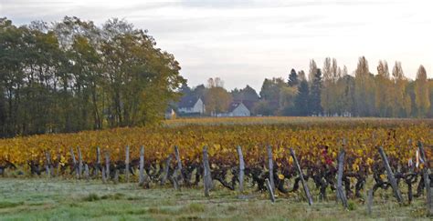 Living The Life In Saint Aignan Two Views