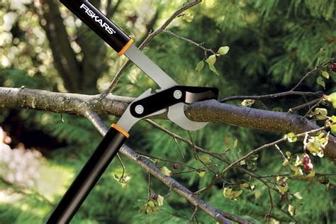 Not only does it require climbing a ladder, but it also often requires operating a. Garden Housecalls - Top 10 Tools to Conquer the Landscape