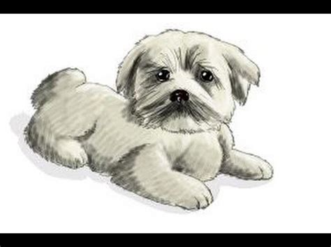 Easy to draw scooby doo head. How to draw a furry dog - YouTube