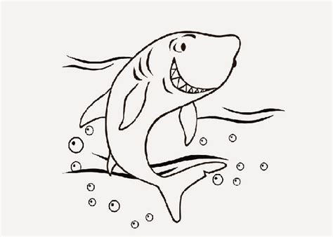 Cute Shark Drawing At Getdrawings Free Download