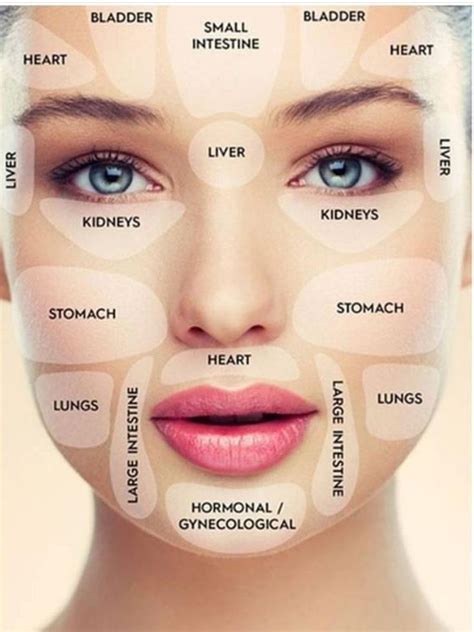 Pin By J R On Health And Wellness Face Mapping Face Mapping Acne Face
