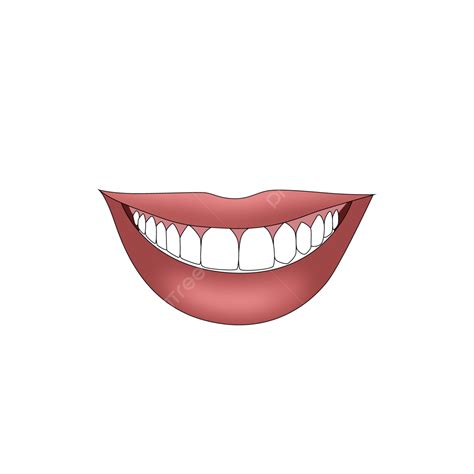 Mouth Lips Smile Vector Hd Png Images Beautiful Smile Lips Png Png