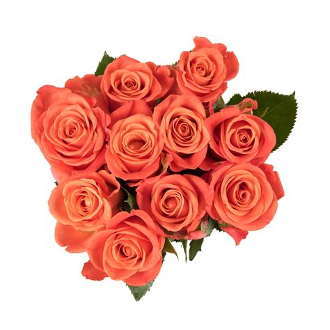 Fiesta Roses 10 Stems Za