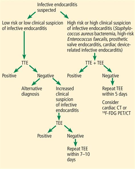 Imaging To Evaluate Suspected Infective Endocarditis Cleveland Clinic