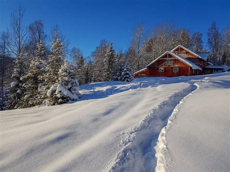 Winter Wonderland In Hedmark County Norway Stock Image Image Of