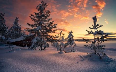Download Wallpapers Winter Morning Sunrise Forest Winter Landscape